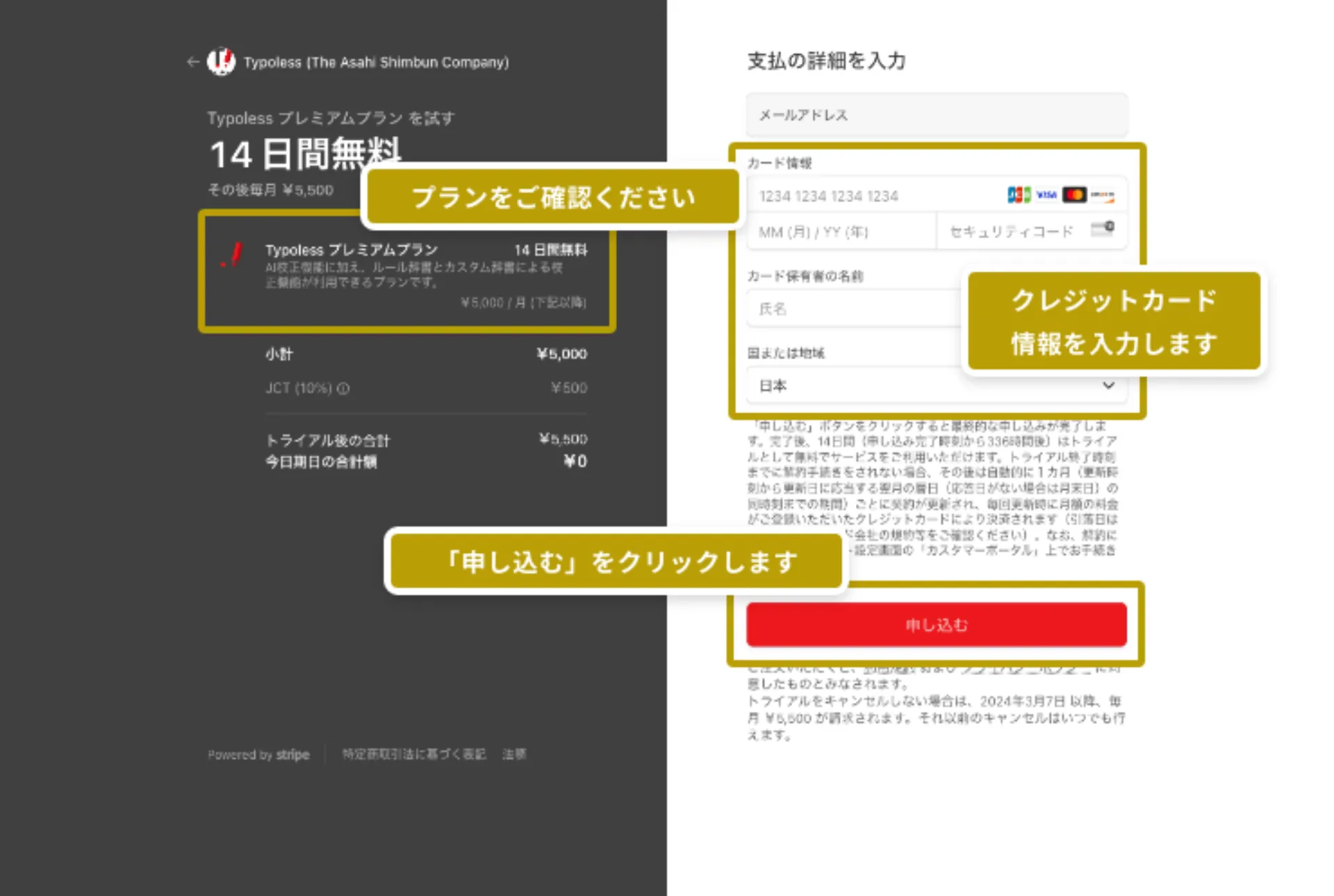 Stripe のカード情報入力画面。プラン内容とカード情報の入力欄が表示されている
